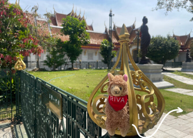 stuffed alpaca in front of buddhist template in thailand